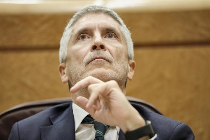 El ministro del Interior, Fernando Grande-Marlaska, durante una sesión de control al Gobierno en el Senado, en Madrid (España) a 14 de julio de 2020. Con este pleno, la Cámara Alta dará por terminada su actividad parlamentaria hasta el mes de septiembre.