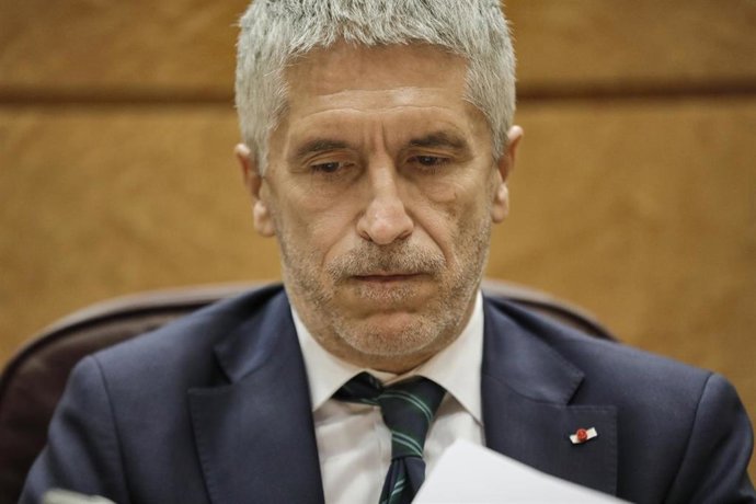 El ministro del Interior, Fernando Grande-Marlaska, durante la sesión de control al Gobierno este martes en el Senado, en Madrid
