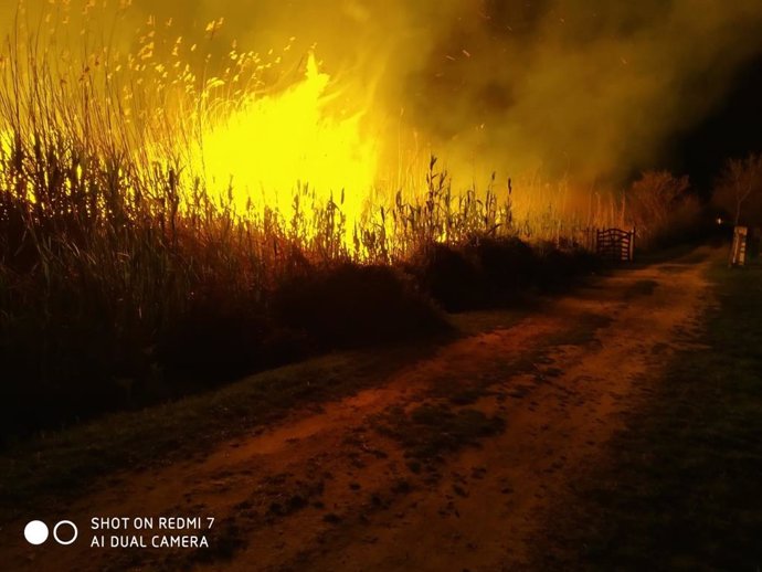 Incendio forestal en el Camí de Sa Figuereta, que se produjo en marzo de 2020.