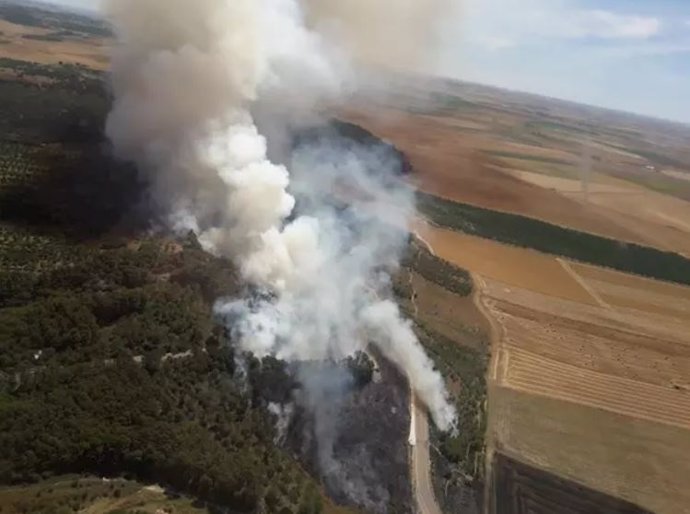 Incendio declarado en la zona de Villagarcía de Campos (Valladolid).