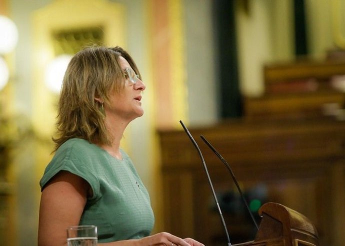 La vicepresidenta para la Transición Ecológica, Teresa Ribera, interviene ante el Pleno del Congreso