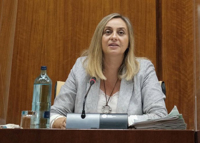 La consejera de Fomento, Marifrán Carazo, este miércoles durante su comparencia parlamentaria.