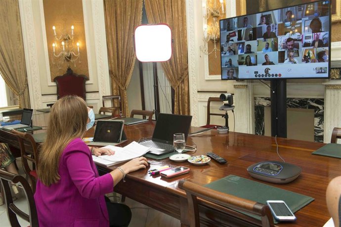 Irene Grcía preside el pleno ordinario de manera telemática