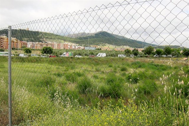 Parcela en el Bulevar donde está prevista la construcción del Conservatorio Superior de Música de Jaén(Archivo