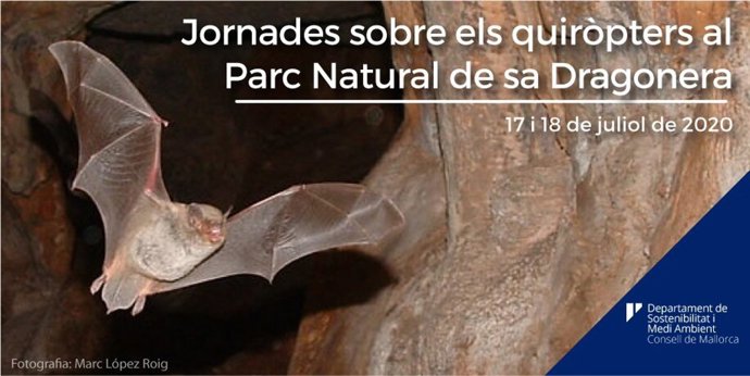Jornadas sobre los murciélagos del Parque Natural de sa Dragonera