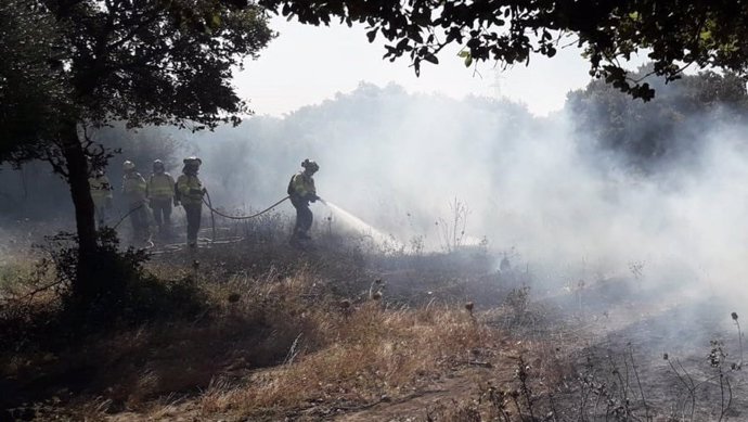 Bomberos en el incendio del paraje Los Tornos en Tarifa