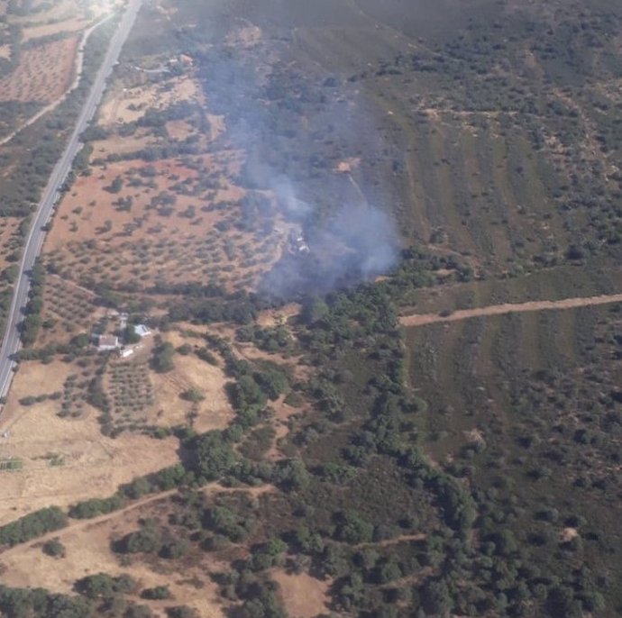 Imagen aérea de la zona donde se ha declarado el incendio forestal en Santa Eufemia.