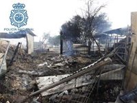 Rescatados en Sevilla 15 caballos de un incendio en las caballerizas de los Jardines de Guadaíra