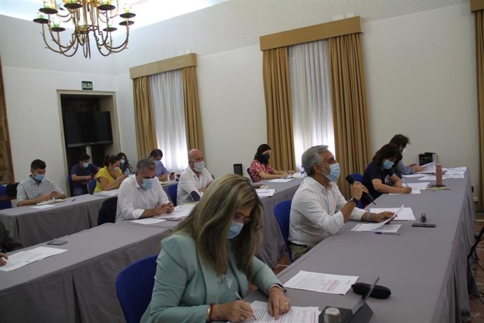 Pleno de la Diputación de Huelva. 