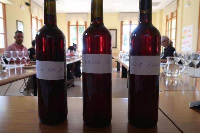 Variedades de viña Callet Negrella, Esperó de gall y Mancs de Tibús