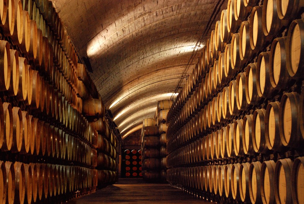 Vista de las bodegas García Carrión