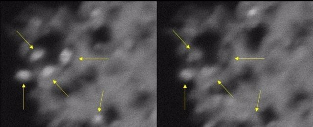 Las flechas apuntan a nanocristales de dióxido de titanio que se iluminan y parpadean (izquierda) y luego se desvanecen (derecha).