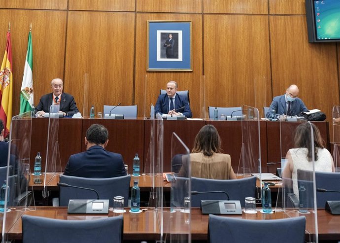 El alcalde de Málaga, Francisco de la Torre, comparece en la Comisión de Estudio sobre la Recuperación Económica y Social de Andalucía a causa de la pandemia del COVID-19.