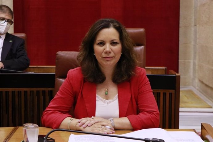 La diputada de Vox Ángela Mulas, en una foto de archivo en el Parlamento andaluz.