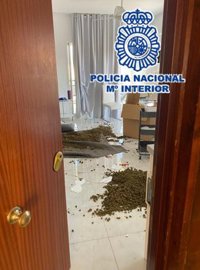 Ocho detenidos en Marbella (Málaga) tras una disputa por la compraventa de droga entre grupos rivales