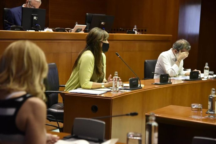 La consejera de Sanidad del Gobierno de Aragón, Sira Repollés, se ha reunido con los grupos parlamentarios.