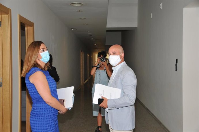 El portavoz de Cs, David Castaño, y la viceportavoz del Grupo Socialista, Virginia Barcones.