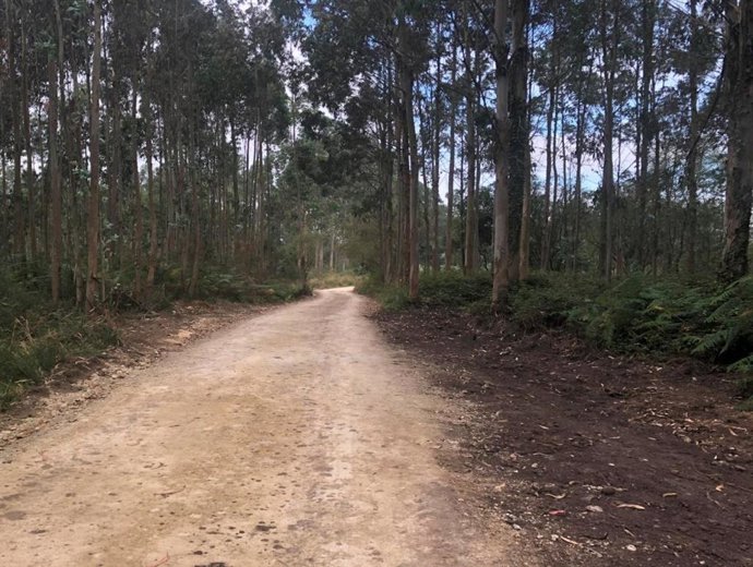 Camino a Ambás,en  Gijón