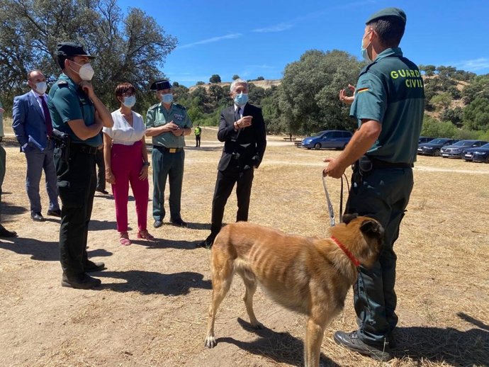 El ministro del Interior y la directora general de la Guardia Civil visitan el SEPRONA