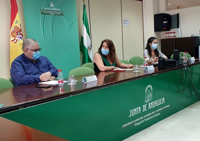 Junta trabaja con productores de flor cortada y planta ornamental para mejorar s