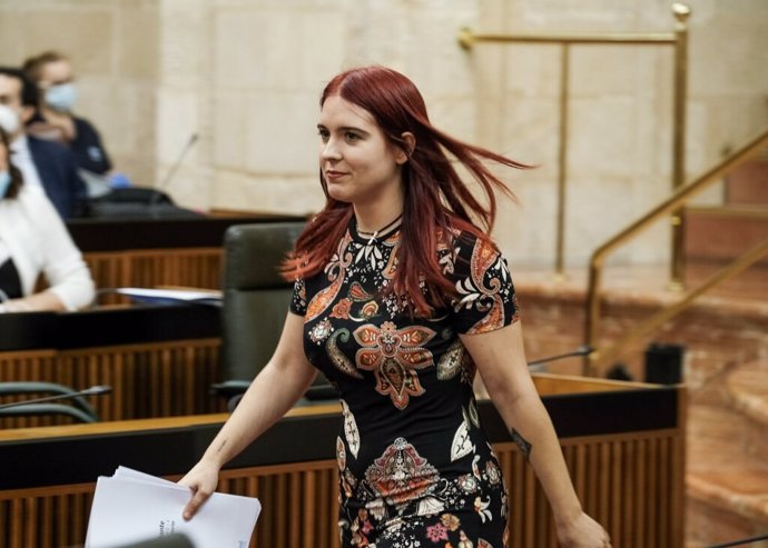 Luzmarina Dorado en el Parlamento andaluz.