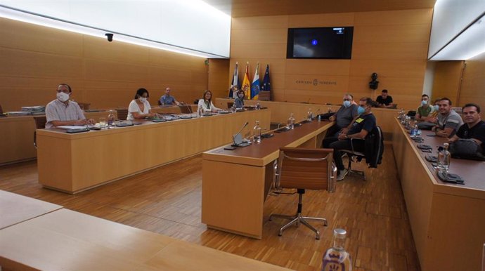 Reunión de la directora de Recursos Humanos del Cabildo de Tenerife, Lidia Pereira, comn los sindicatos