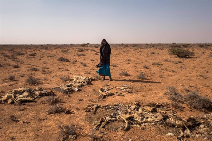 Una mujer afectada por la sequía en Somalia