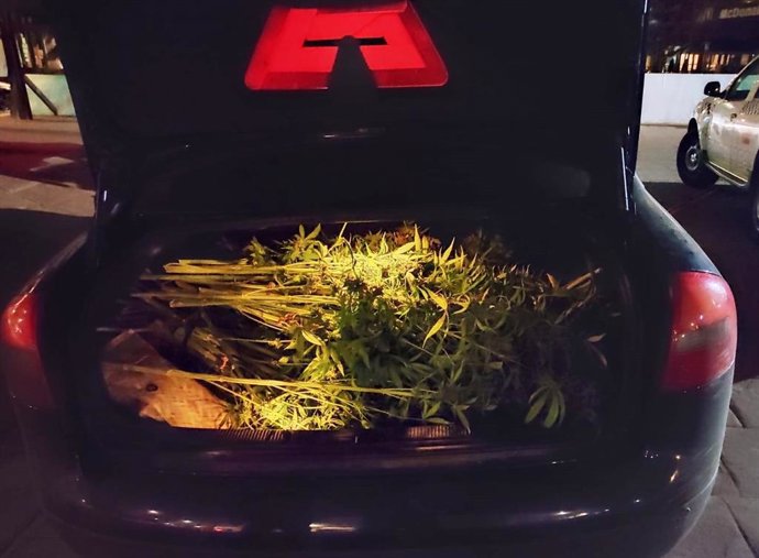 La Policía Local De Almuñécar Detiene A Un Hombre Que Portaba Unos 15 Kilos De Marihuana.