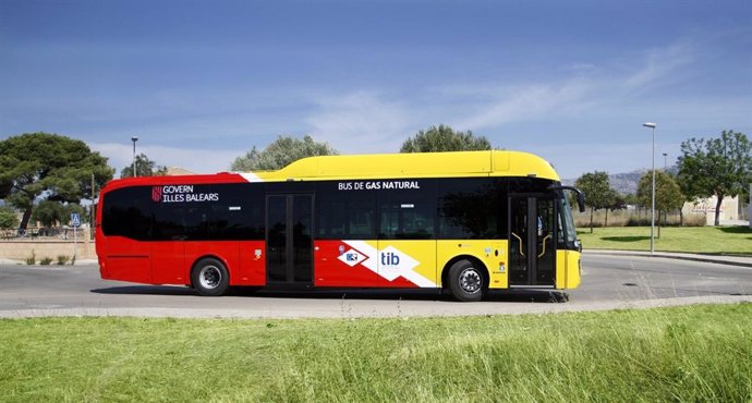 Nuevo bus TIB.