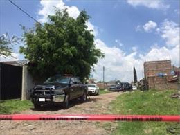 México.- Hallada una fosa común con 23 cuerpos en el municipio mexicano de El Sa
