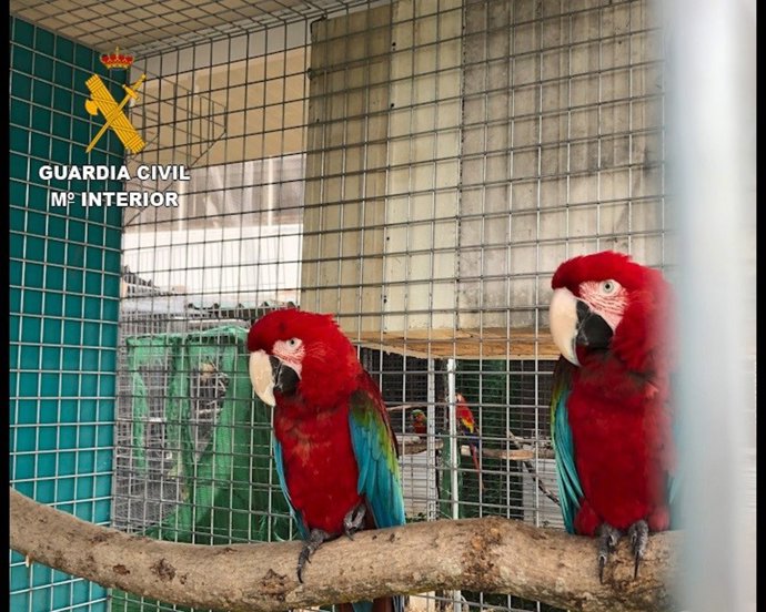 Vídeo de la noticia