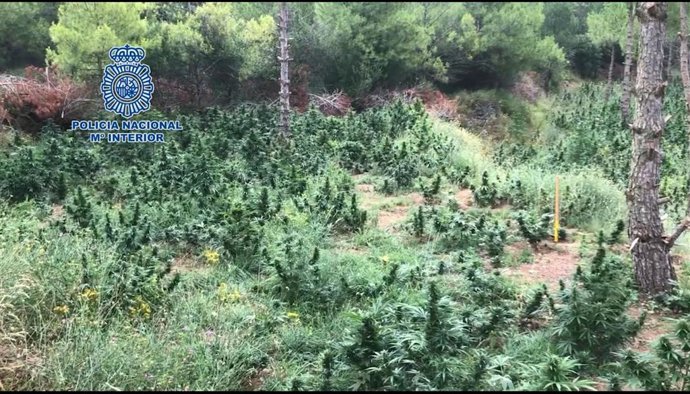 Vídeo de la noticia