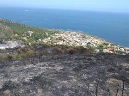 Incendio forestal en Algeciras