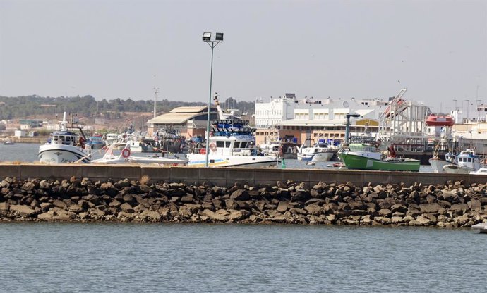 Puertos.-Junta destina 5,3 millones para mejorar trazabilidad de productos y seg