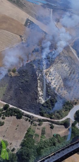 Incendio forestal en Zahara de la Sierra