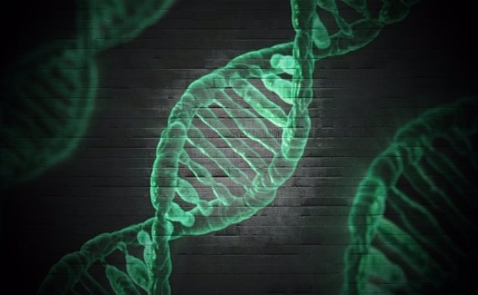 Una rara mutación hereditaria del gen TP53 sitúa a los portadores en mayor riesg