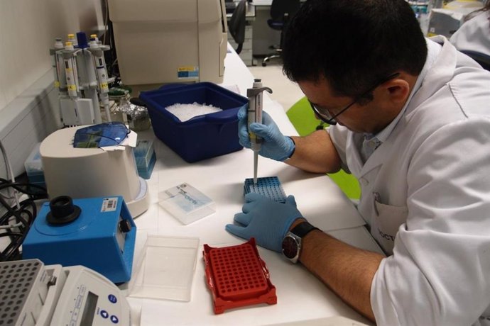 Investigación, investigador, ciencia, I+d+i