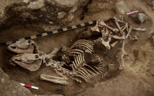 Enterramiento de caballos de la cultura Andronovo