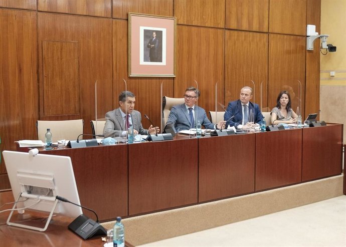 El presidente del TSJA, Lorenzo del Río, este lunes en su comparecencia en el Parlamento de Andalucía.