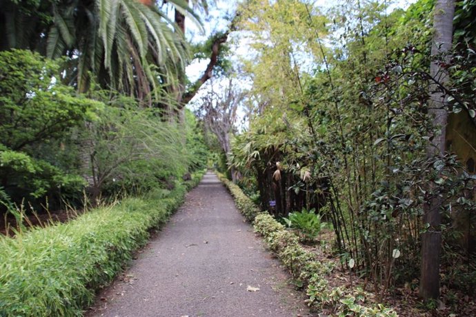 Jardín Botánico de Puerto de la Cruz