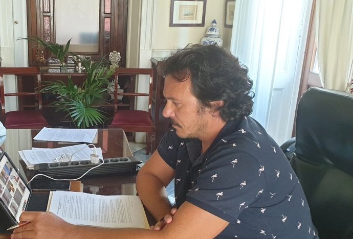 El alcalde de Cádiz en un pleno telemático