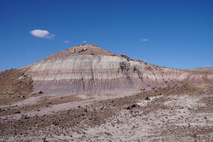 Las capas de roca que componen la formación fueron depositadas durante el Período Triásico Tardío.