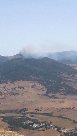 Incendio forestal en Tarifa