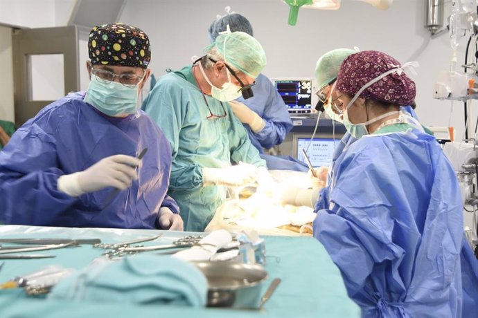 Realización de un trasplante hepático en el Hospital Reina Sofía de Córdoba.