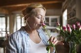 Foto: Poder identificar el olor de las rosas o los limones, muestra de menos riesgo de demencia en mayores