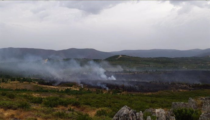Incendio forestal en Ovejuela