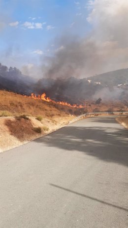 Incendio forestal en El Ronquillo