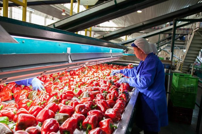 Industria auxiliar de la agricultura 