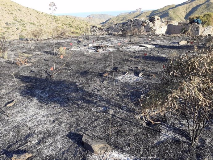 Incendio de Sierra Cabrera originado en una explotación apícola de Turre (Almería)