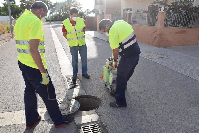 El Ayuntamiento de Carlet (Valencia) hace una desratización extraordinaria